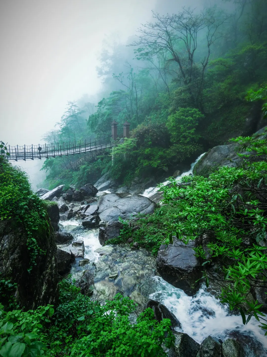 以为武功山很美了，直到我到了明月山||