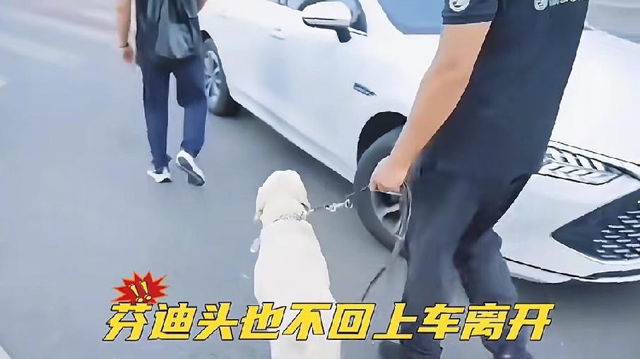相处久了都会有感情，

但看到芬迪头也不回的奔向来接它的车，

就足以说明，王女