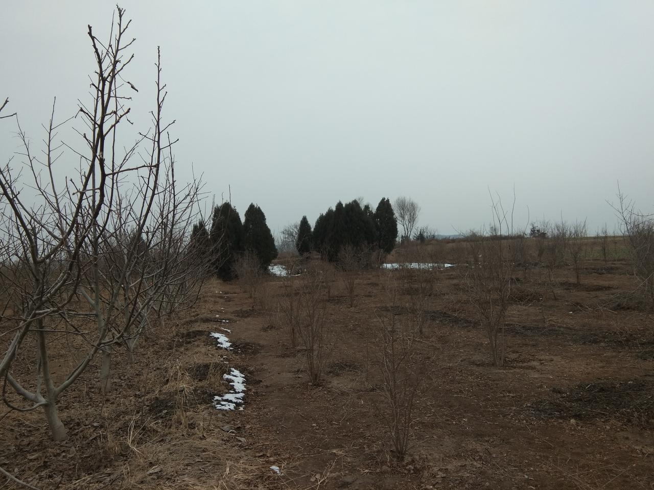 关于巩义市河洛镇几个村名的传说

相传，隋朝时有一位领兵的将军，该将军非常迷信，