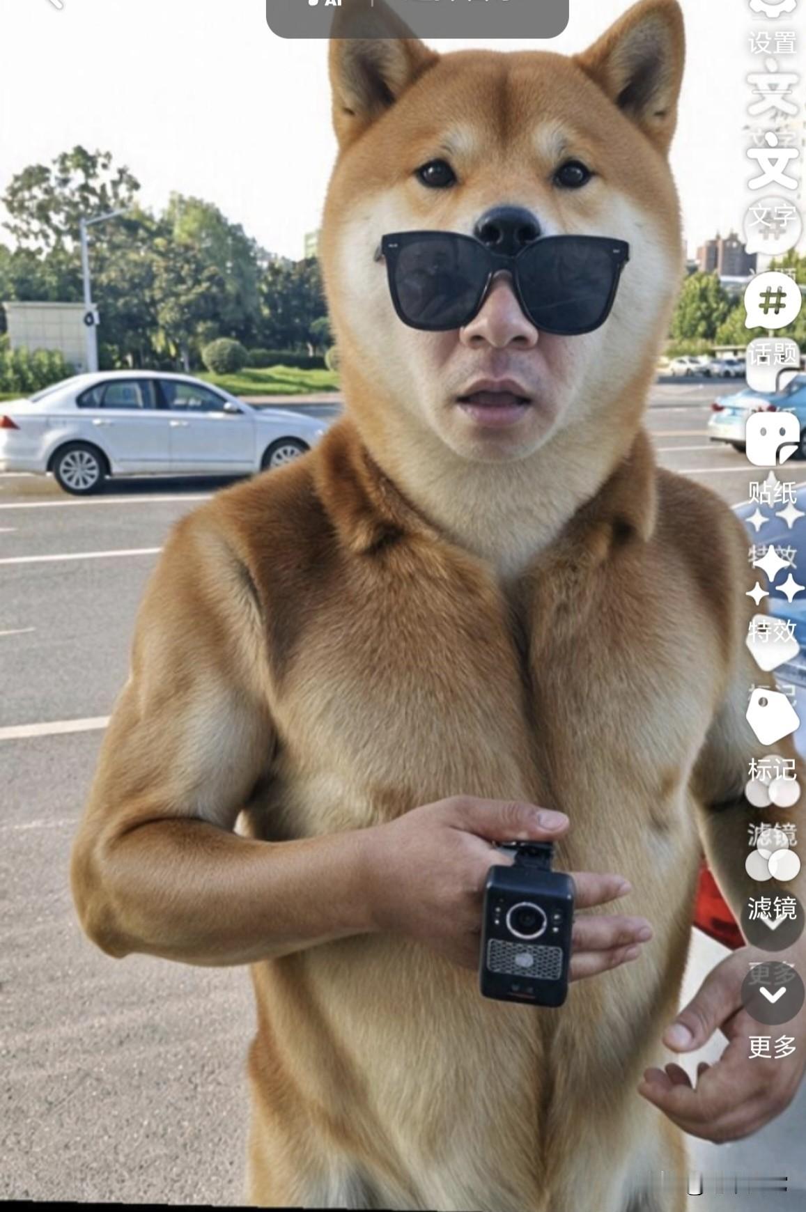 这是啥玩艺