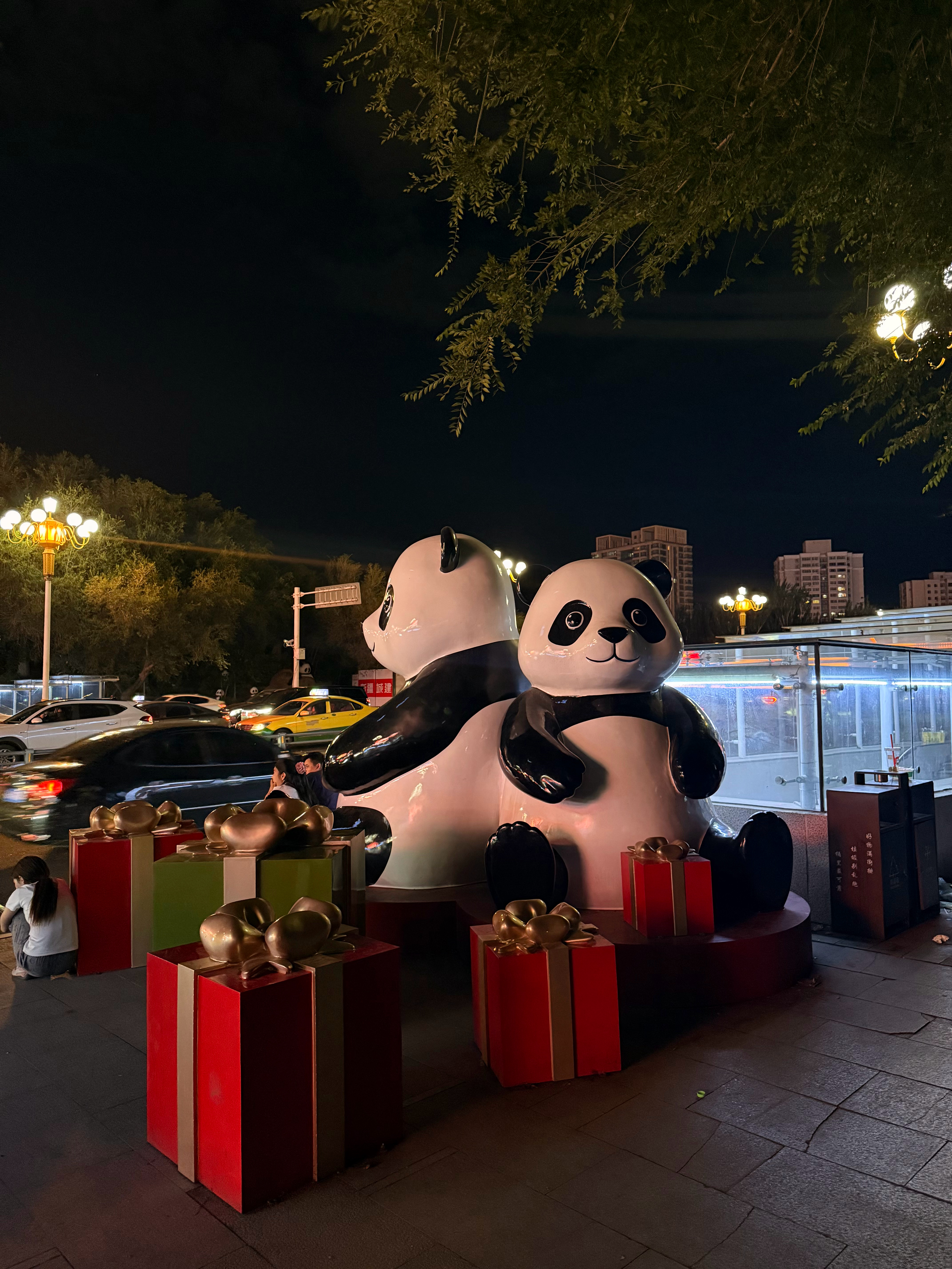 来成都旅游了