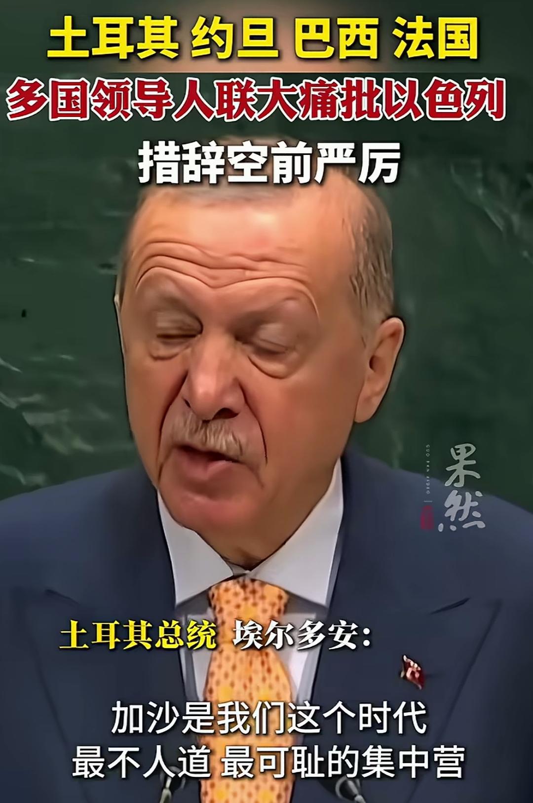 世界上有良知，有正义的人还是多！
埃尔多安总统，马克龙总统，约旦领导人，联合国秘
