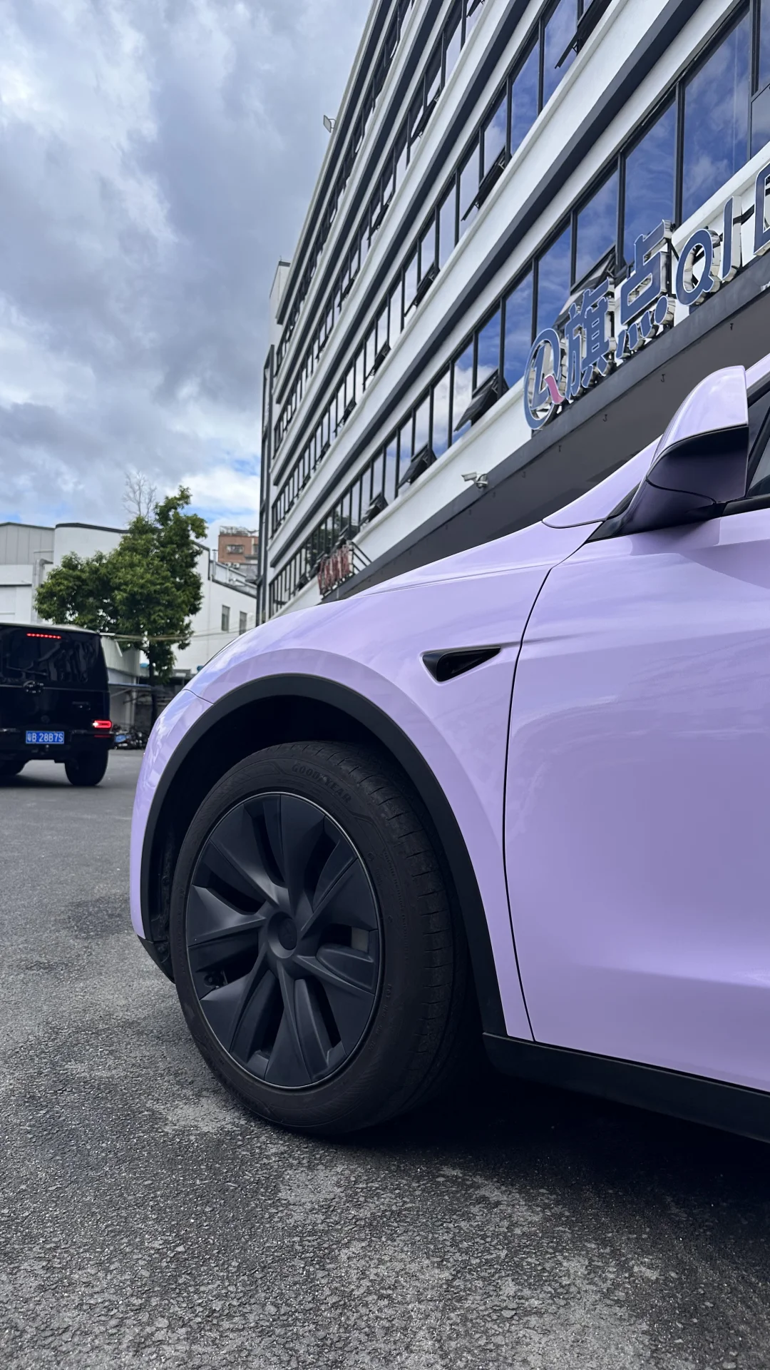 特斯拉MODELY 变装星黛紫