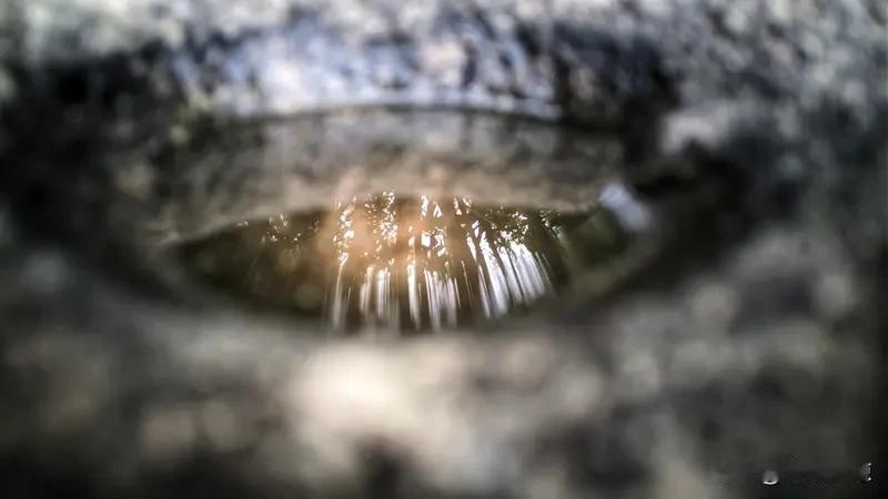 看到“浅浅深深河中水”这个上联，感觉特别有意境。河水的深浅变化，让人脑海中浮现出