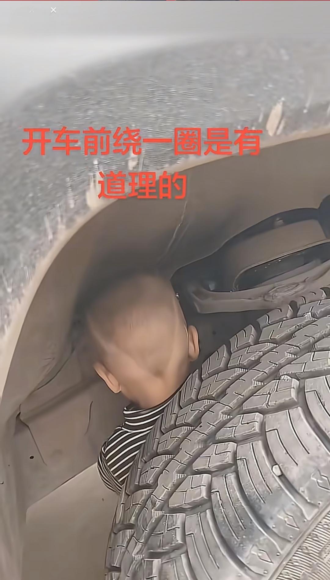 开车绕一圈有时真的可以挽救一个生命
开车前绕一圈有时真的可以挽救一条小生命邻居语