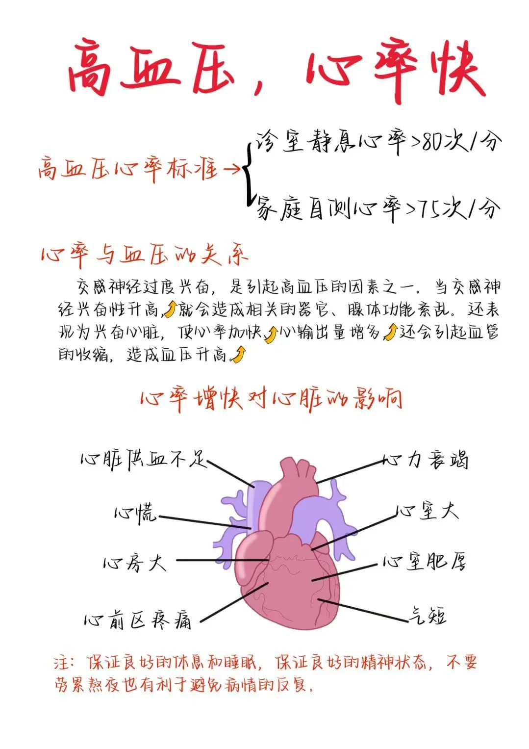医学生笔记——高血压伴心率快