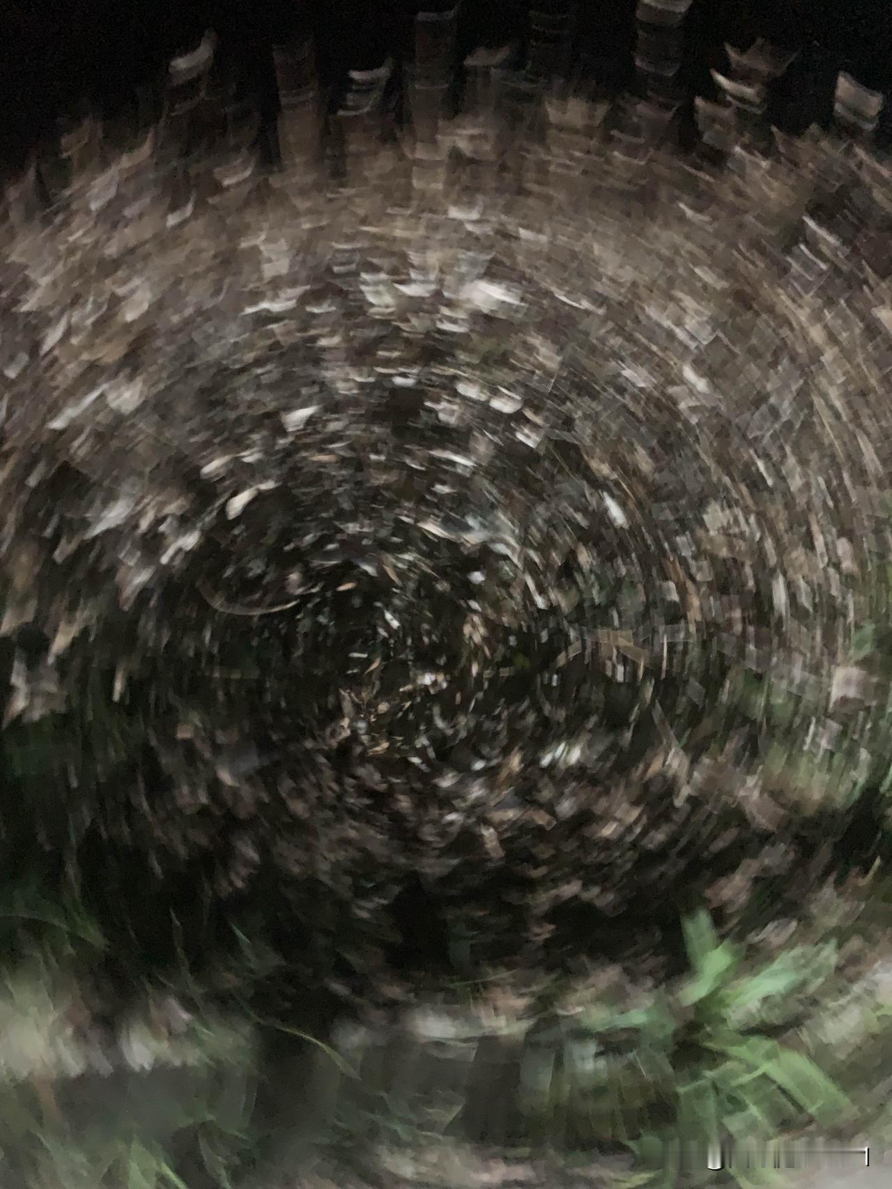 我熟记的一句毛泽东语录：“我们在困难的时候，要看到成绩，要看到光明，要提高我们的