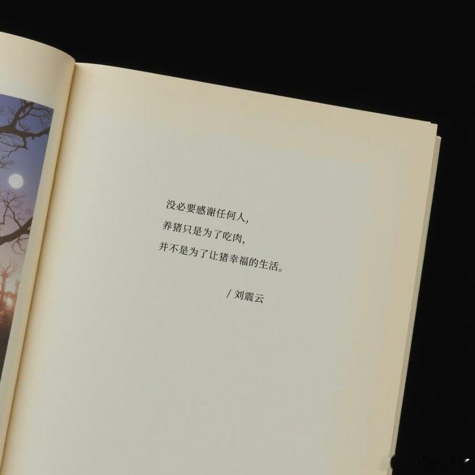 被文字狠狠点醒 