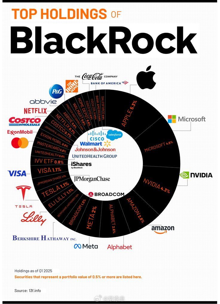 贝莱德集团的主要持仓截至2025年1月25日，持仓证券中占投资组合价值0.5%或
