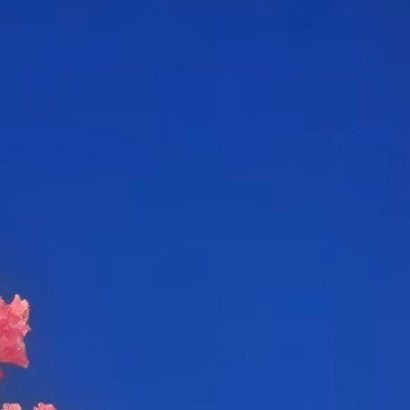 0000紫薇花的种植方法1. 栽培方式：园土+腐叶土+粗沙，普通疏松透气土；木质
