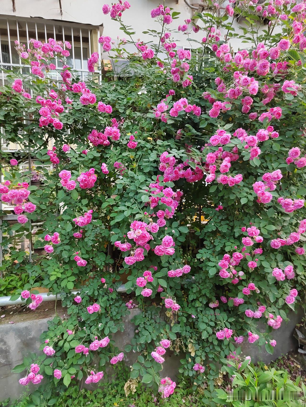 1.精神轻松了。
上学的时候，被上课约束着。
上班的时候，被工作支配着。
时间是