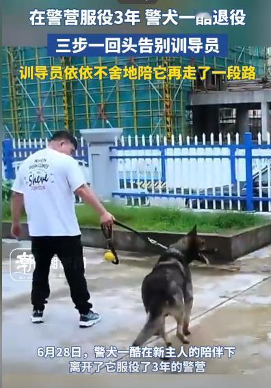 6月28日，浙江省台州市三门县公安局7岁的警犬“一酷”服役期满光荣退役并被新主人