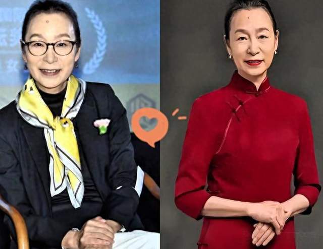 奚美娟解读辛芷蕾落选宋佳提名，奖项争议引热议