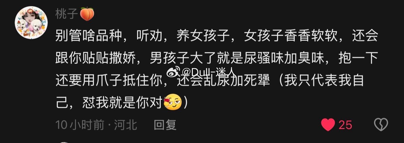 养狗狗真的要养妹妹