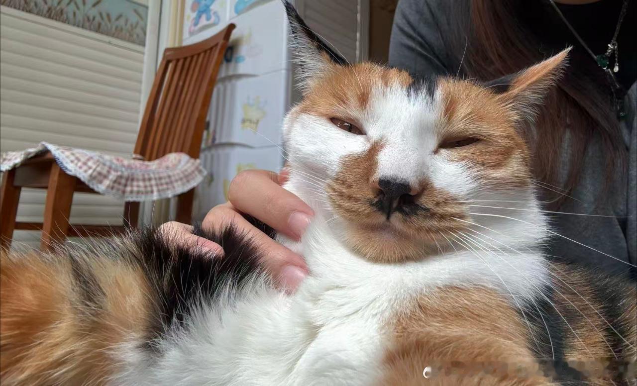 49800【丑猫】朋友家的大叔 