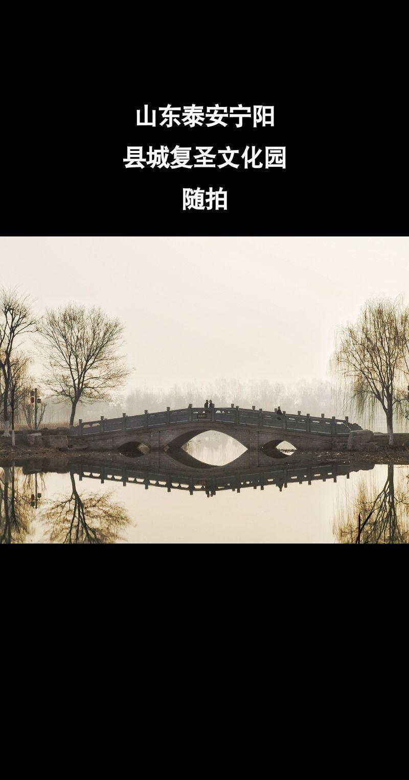 山东宁阳故乡老家随拍