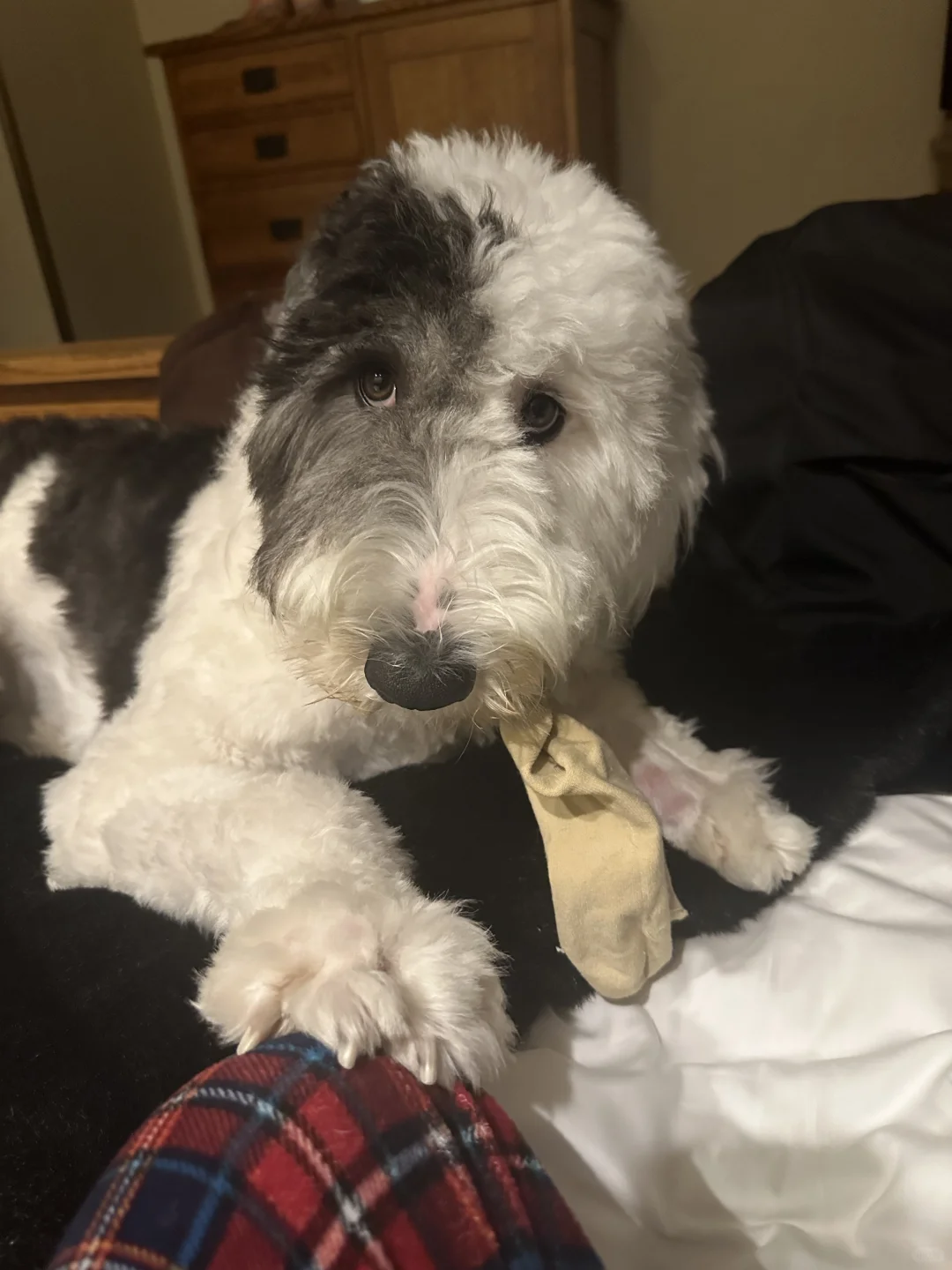 求认识纽约biglaw资本市场律师coffeechat！