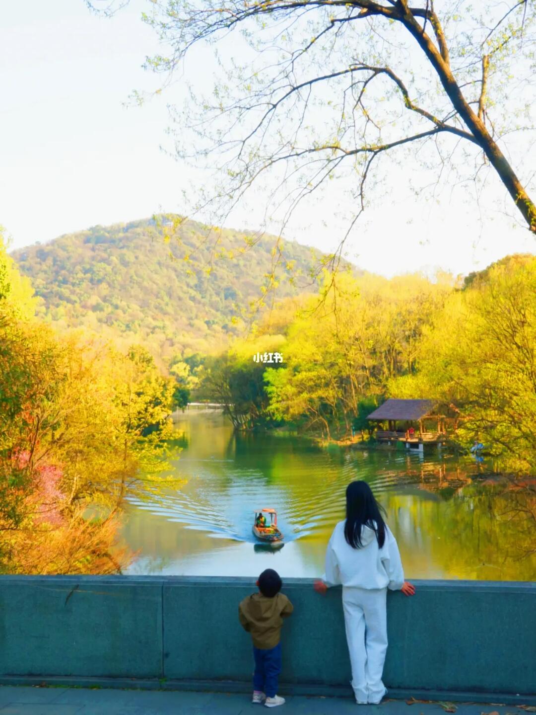 走了西湖6万步，我真是太爱春天的乌龟潭