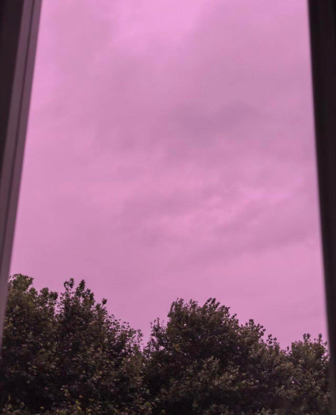 窗外风声已经起来了，树影晃得厉害。🌬️台风“巴威”今晚就要在浙江沿海登陆了，现