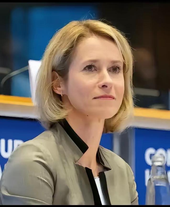 欧州第一傻，欧盟外长卡拉斯北京时间18日在社交媒体发文：美国对格棱兰岛主权的索取