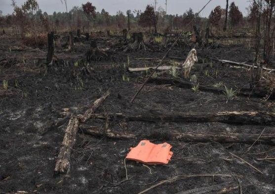 最近印尼廖内省的火灾有点吓人，从今年年初到现在，全省已经有近60公顷土地被烧了，