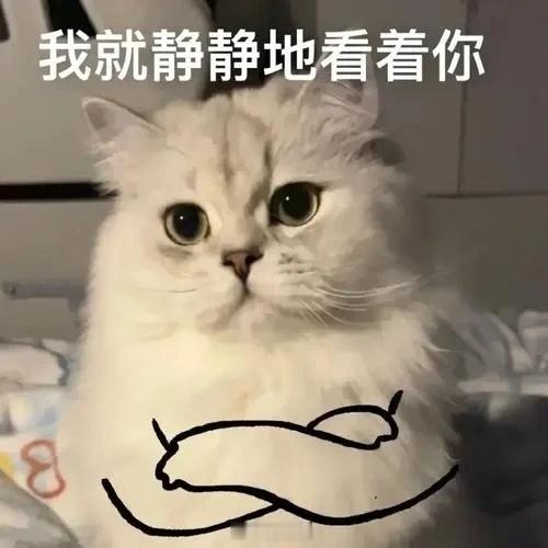无缘无故拉迪丽热巴出来当挡箭牌的人不会有好下场的哈，再说一遍迪丽热巴没有辟谣的义