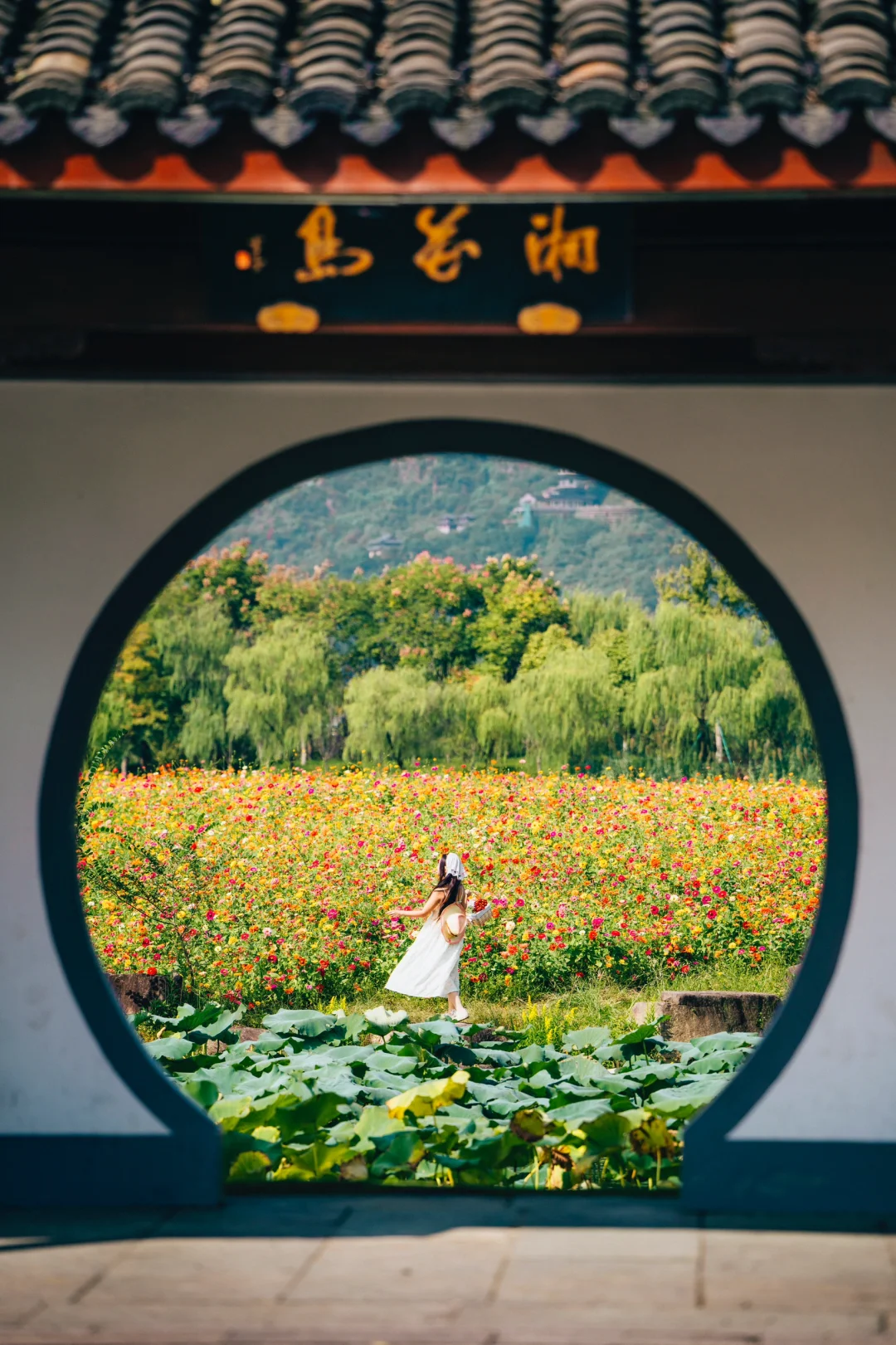 💐这个门洞里，藏着中式莫奈花园