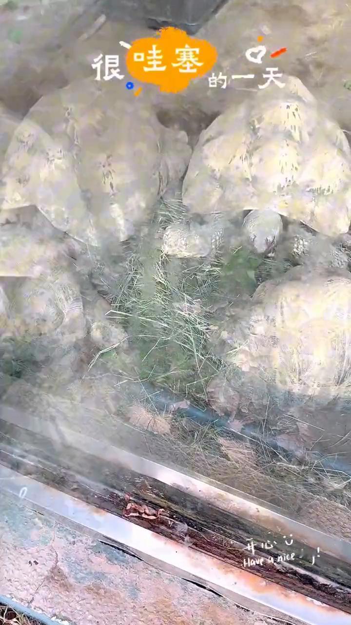 哇塞的一天。
很哇塞，哇塞的一天。