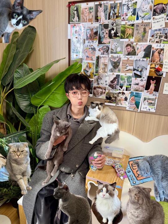 呼和浩特探店｜撸猫圣地，治愈系打卡‼️‼️