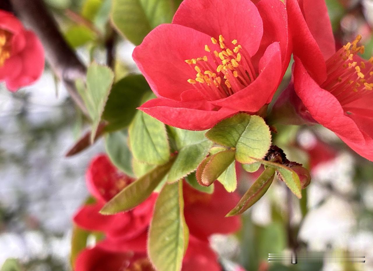 快来看看我新换的主页背景吧