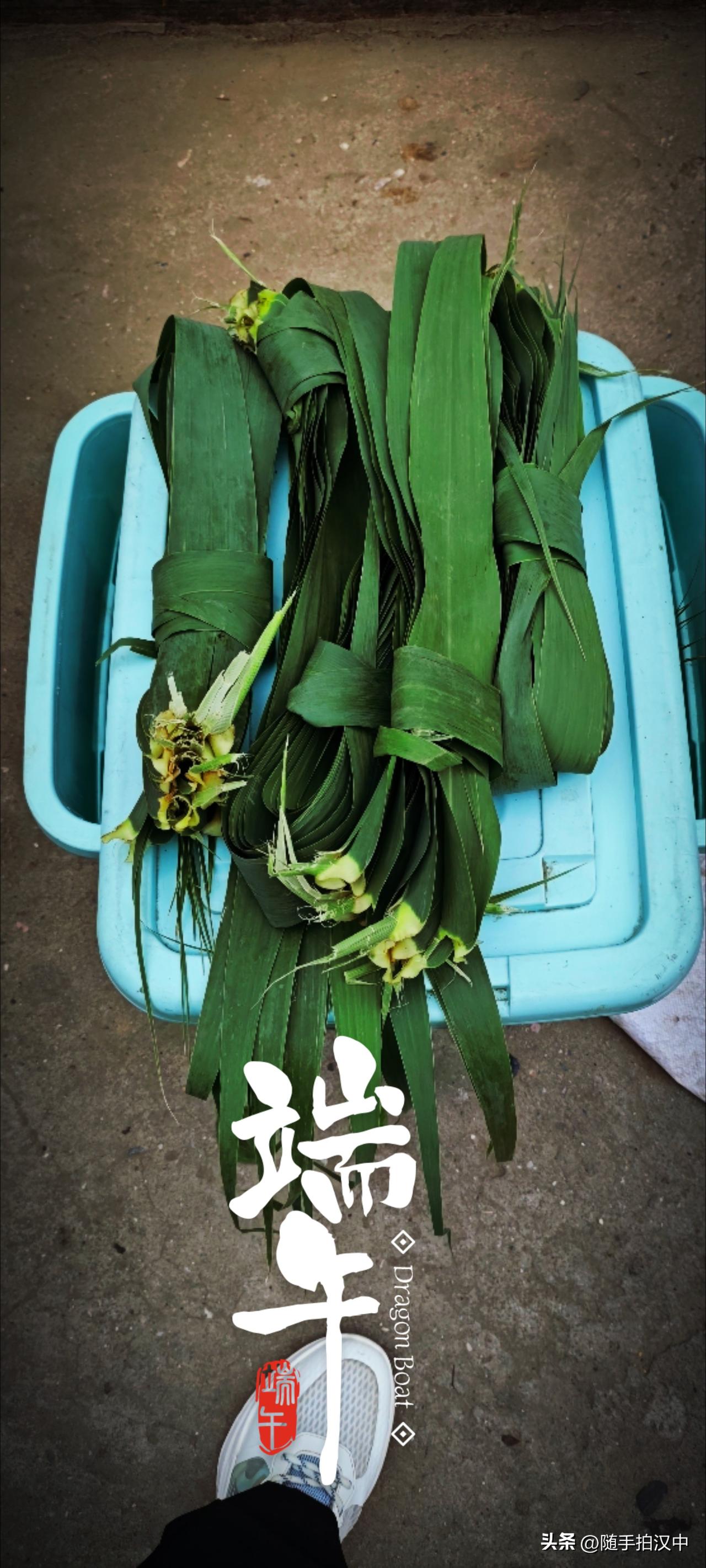 端午时节，万物生长，绿荫满城。作为端午的标志性习俗之一粽子，或咸或甜的包裹着一方
