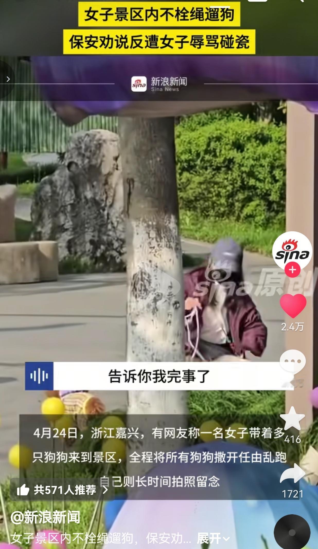 景区遛狗不牵绳还碰瓷，这操作真的刷新我的认知！

事情发生在浙江嘉兴的一处景区里