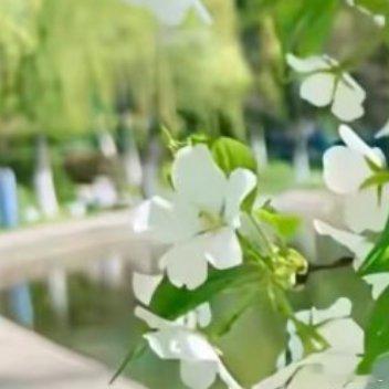 每日一善 🌞每日一善 在忙碌的生活中，别忘了停下脚步，给予他人一个微笑，一句鼓