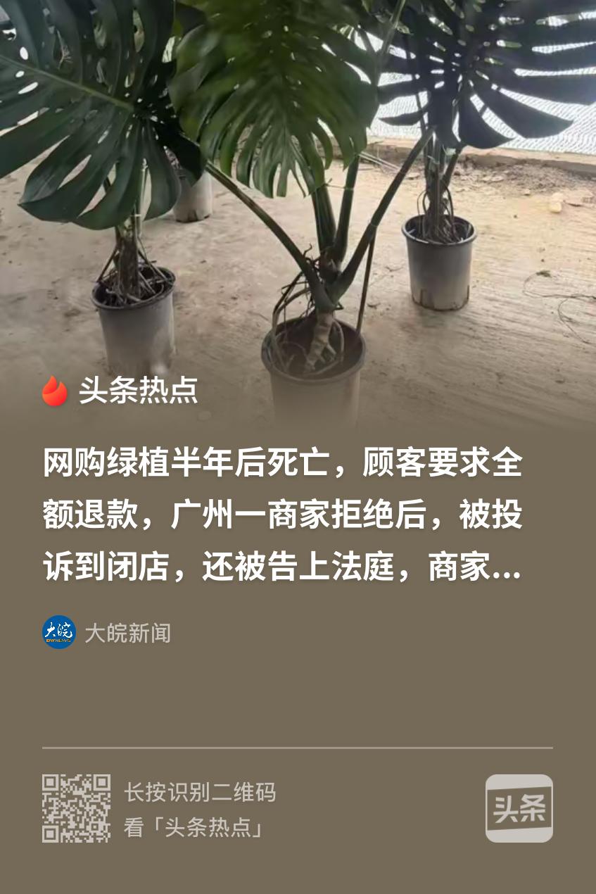 不惯你臭毛病‘奉陪到底！广州，一女子经营绿植网店，半年前顾客花258元买了一颗龟