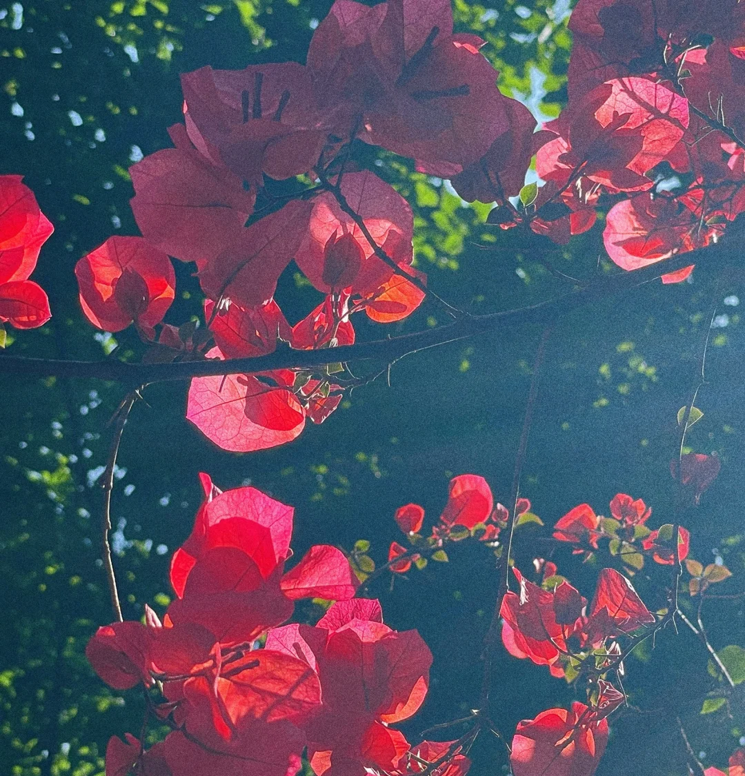 糖尿病自身抗体四项，大家是不是都查了（一）