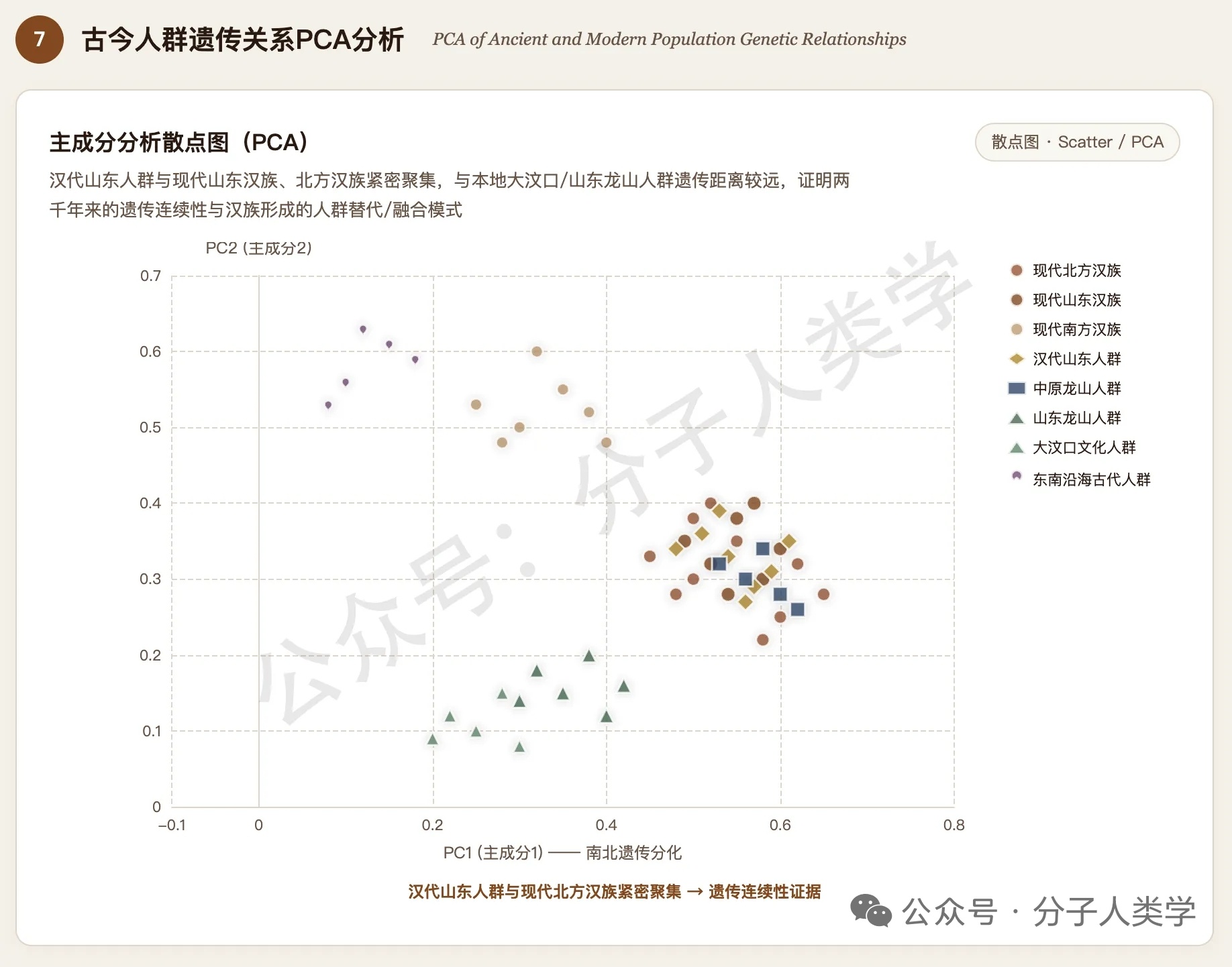 传统史学认为，山东的“东夷”是大汶口文化→山东龙山文化人群的后人，后来接受了华夏