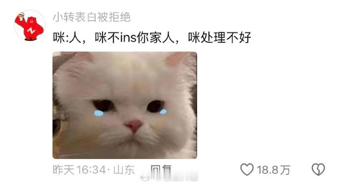 咪:你起来呗，外面的亲戚我不认识 