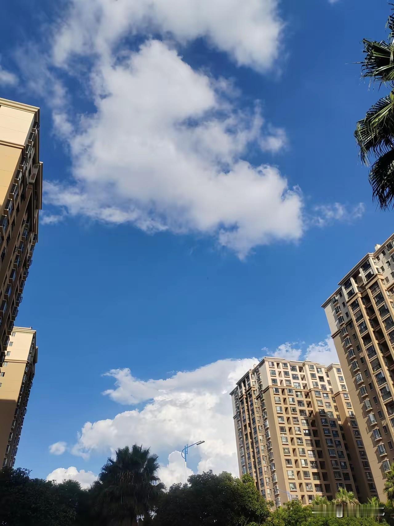 提前通知一下
大家好有个心理准备
今天7月31日就正式进入中伏第七天了，而且今年