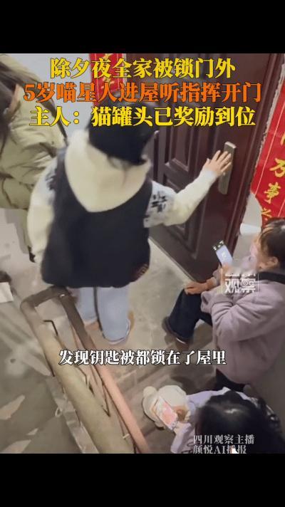 猫会开门，

这事真不稀奇，

但大家可能没注意到，

它们不是突然变聪明的。