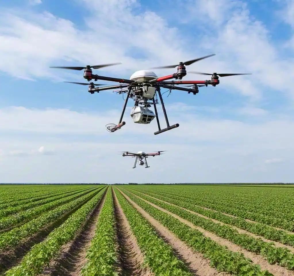 踏莎行 · 农用无人机
        
沃野铺金，春田漾翠，银鹰旋处风微起。灵