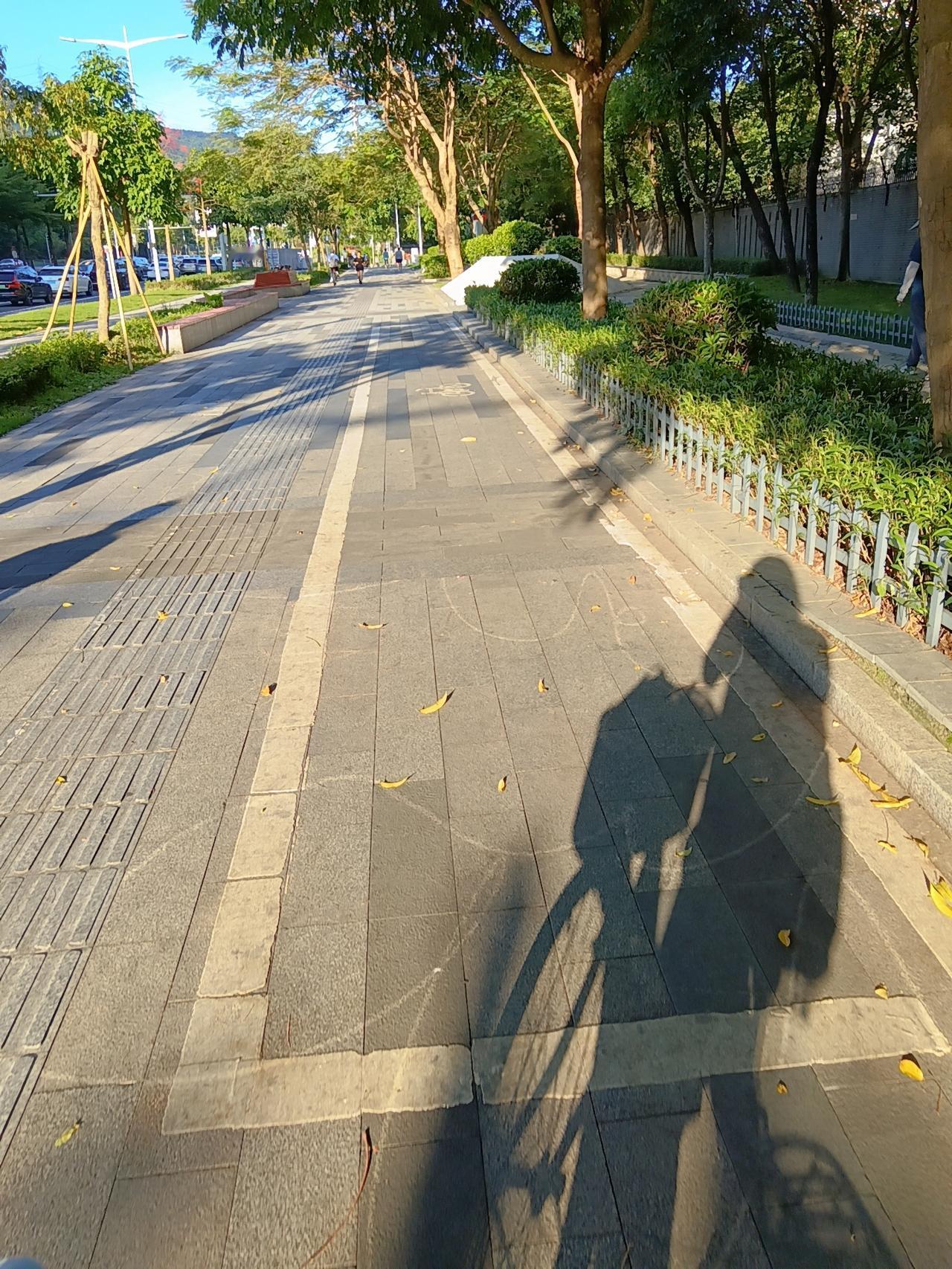 今天深圳下大雨，与昨天天气截然相反。

昨天是我实行轻断食的日子。

我在轻断食