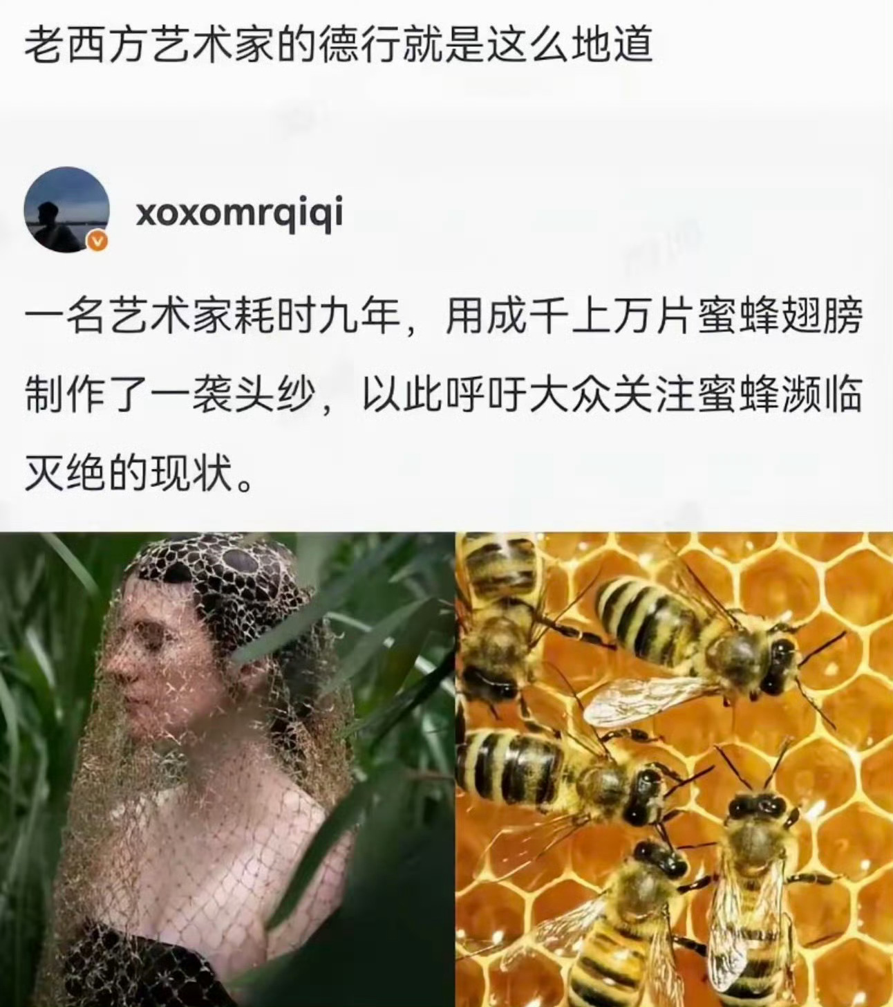 没杀生？ 