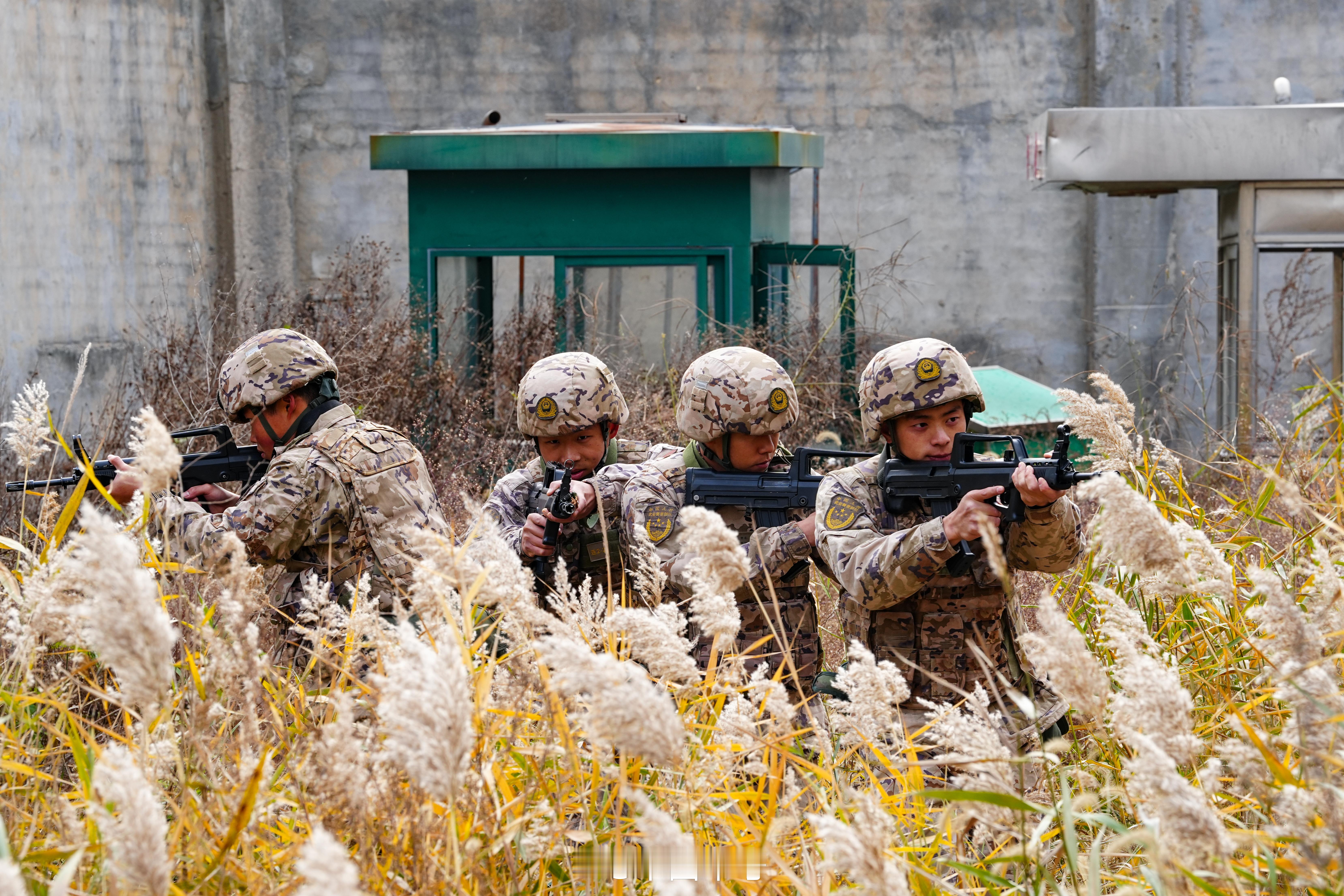 【超帅！解锁一份冬日武警练兵体验卡】近日，武警江苏总队开展冬季实战化大练兵。官兵