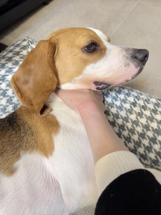 被命运扼住了喉咙