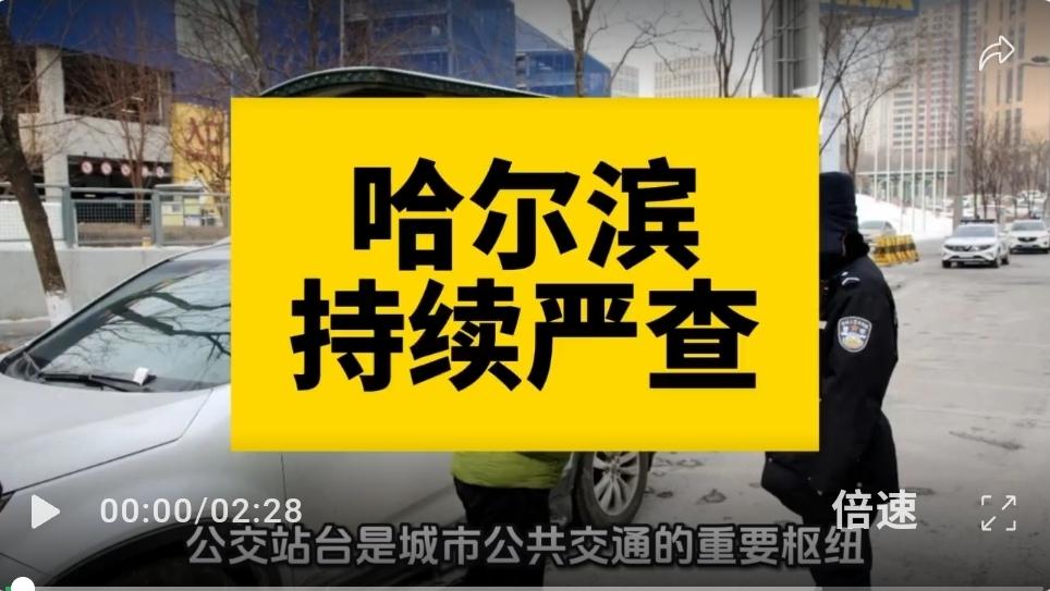 零容忍！哈尔滨正在严查！