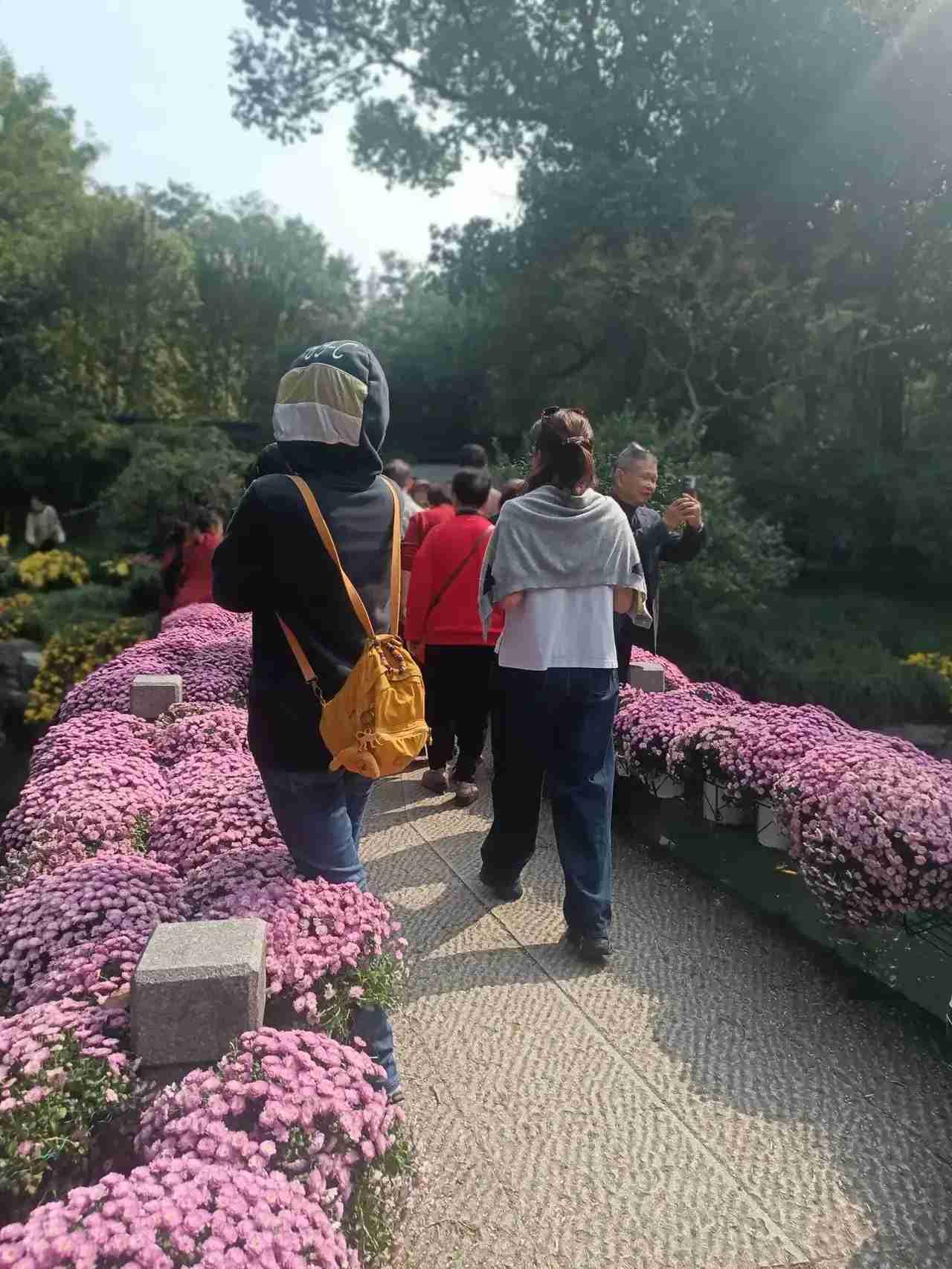 我的今日状态：😁轻松愉快
我这里的天气：☀️晴天

杭州的秋天有点短，杭州的冬