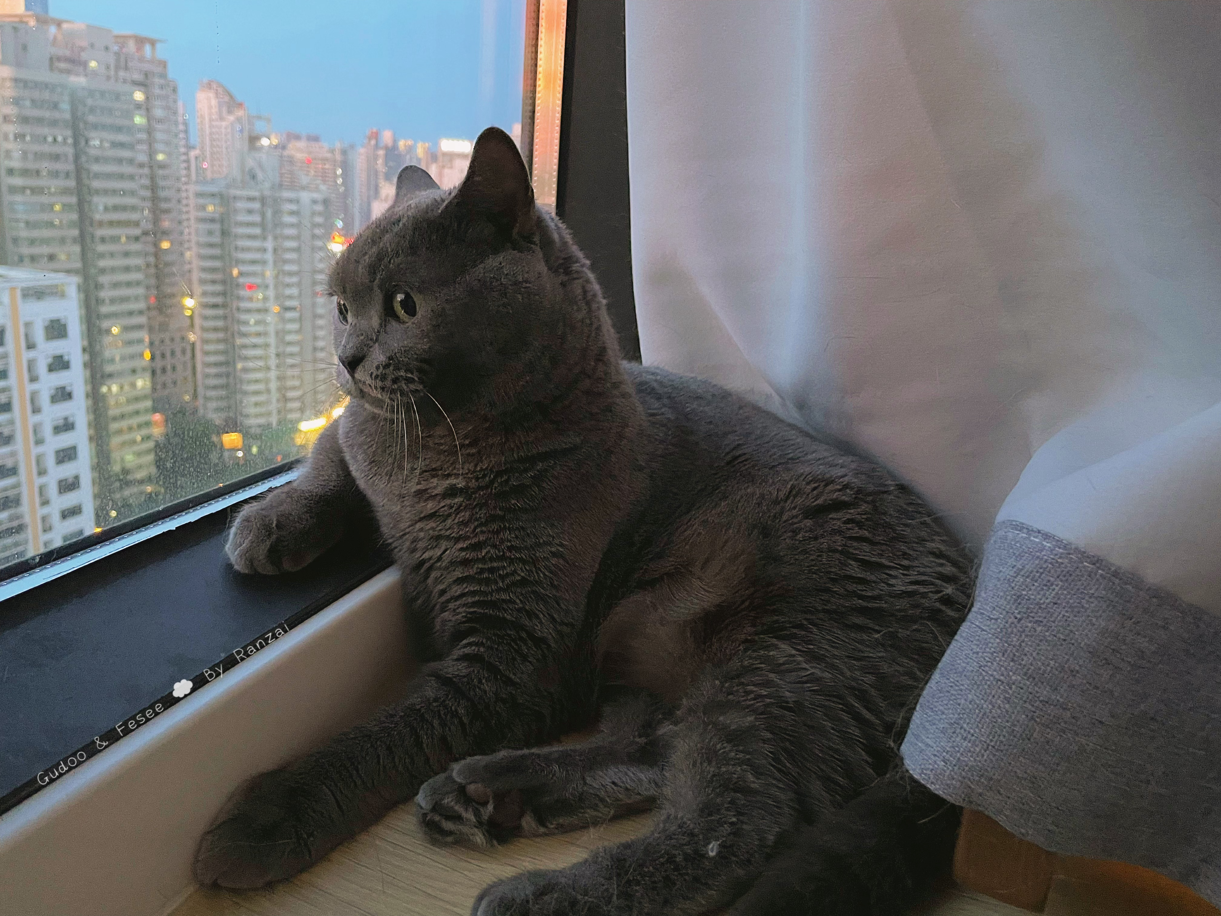 小菇在我心里是集阳光忧郁猛男甜宝于一身的大帅哥[抱一抱]#菇冬怎么肥四[超话]#