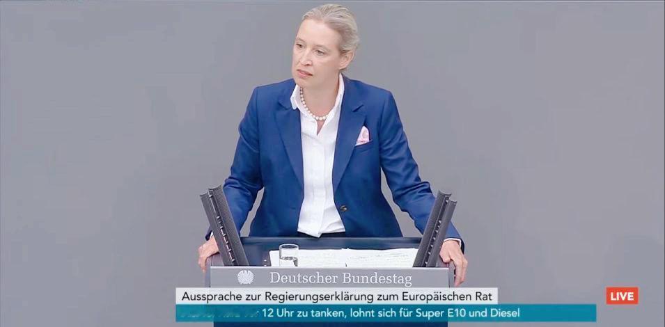 德国另类选择党主席爱丽丝·魏德尔在联邦议会讲坛猛烈抨击德国政府：

“你们向乌克