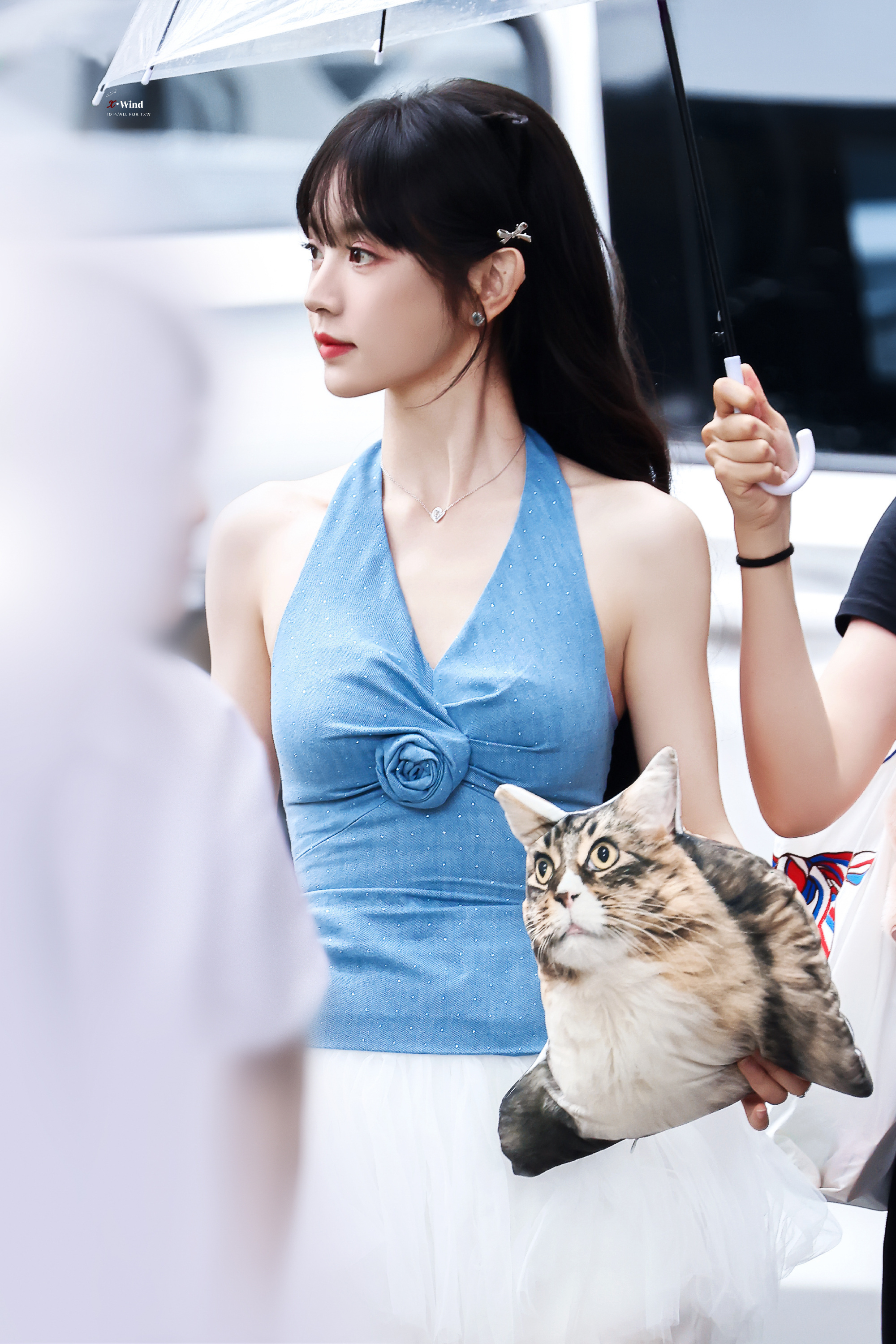 田曦薇将cos千金淑猫期待可爱的小田[憧憬] ​​​