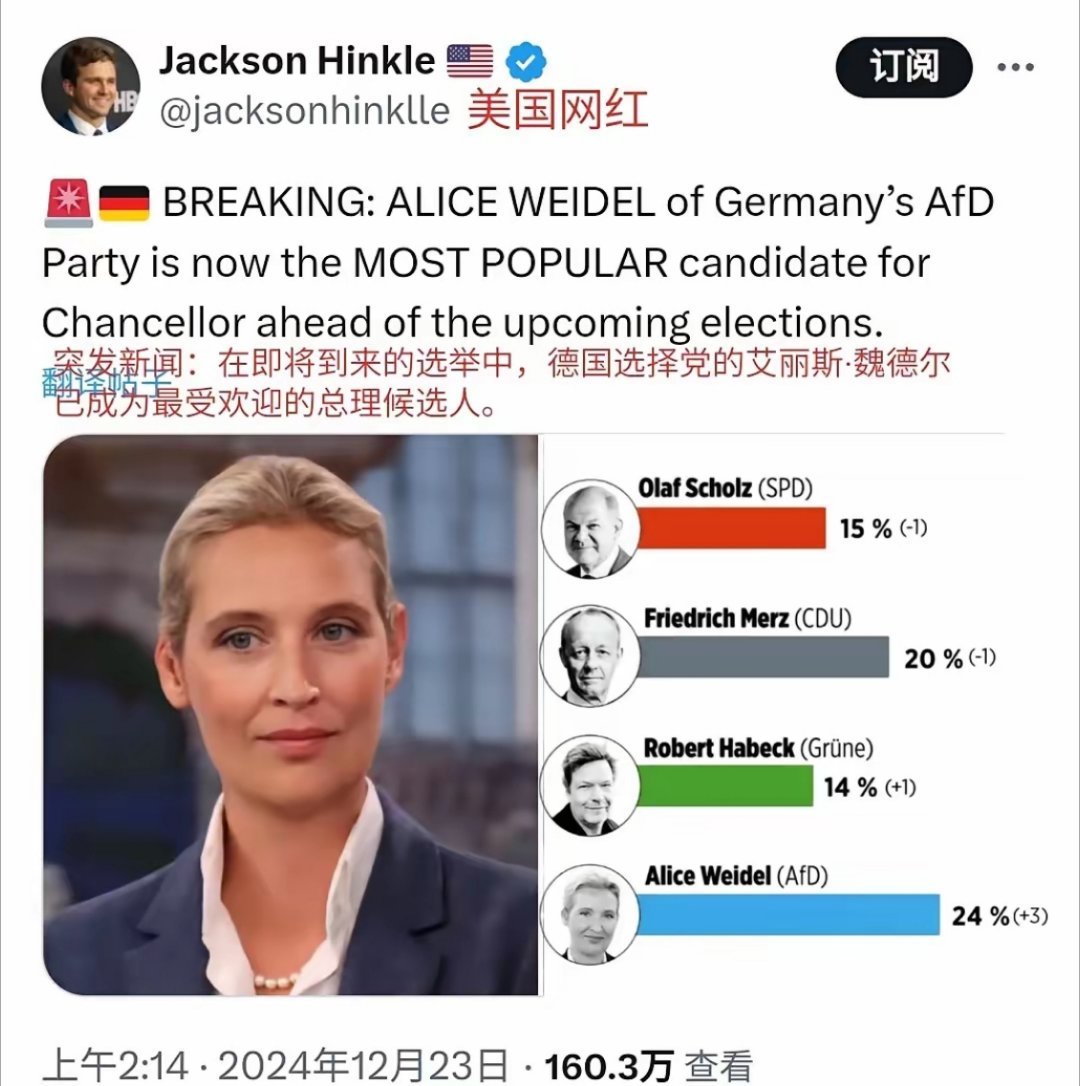 因为马斯克的助攻，德国大选候选人爱丽丝.魏德尔Alice Weidel暂时领先其